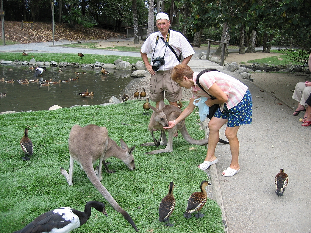 104 Port Douglas Wildlife Habitat.jpg